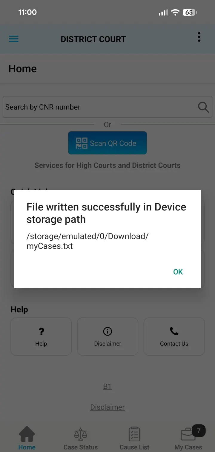 eCourts Services app, step 4: tap OK